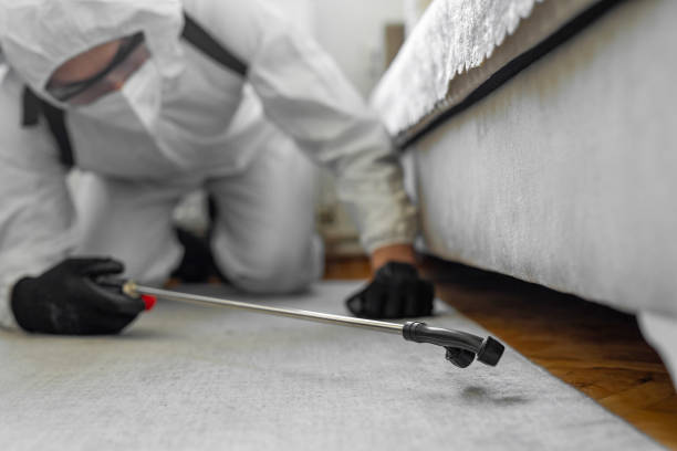 Professional Termite Control technician working in Roberts, WI