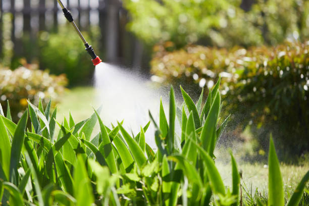 24/7 Emergency Termite Control experts in Roberts, WI